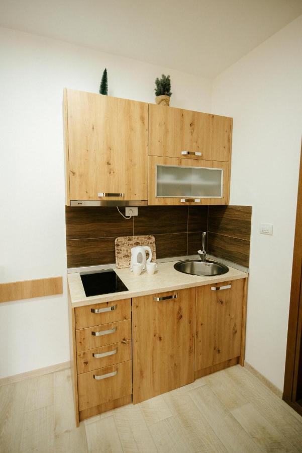 Apartman Kostic Kraljev Konak Kopaonik Bagian luar foto